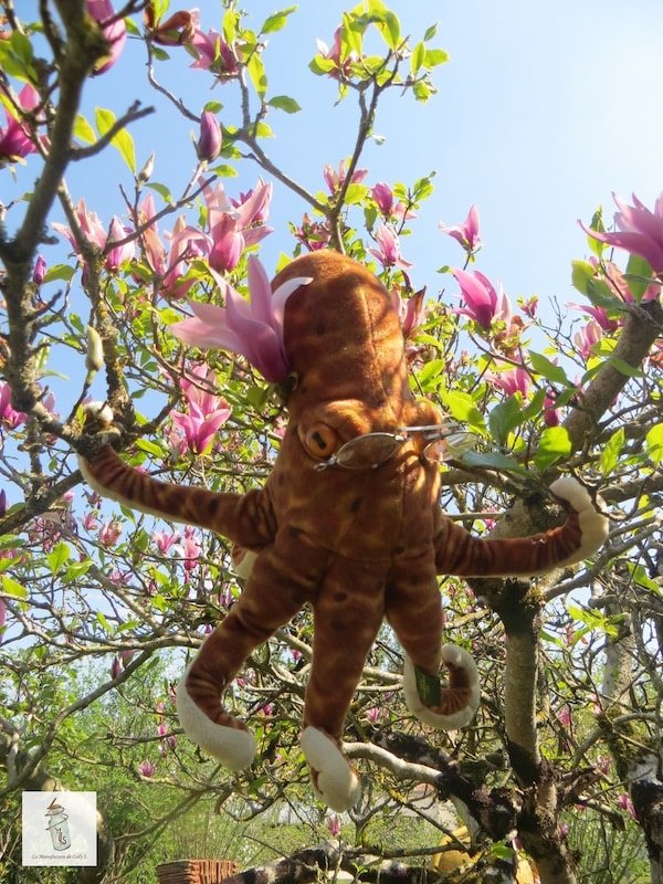 Des nouvelles de Germain confiné