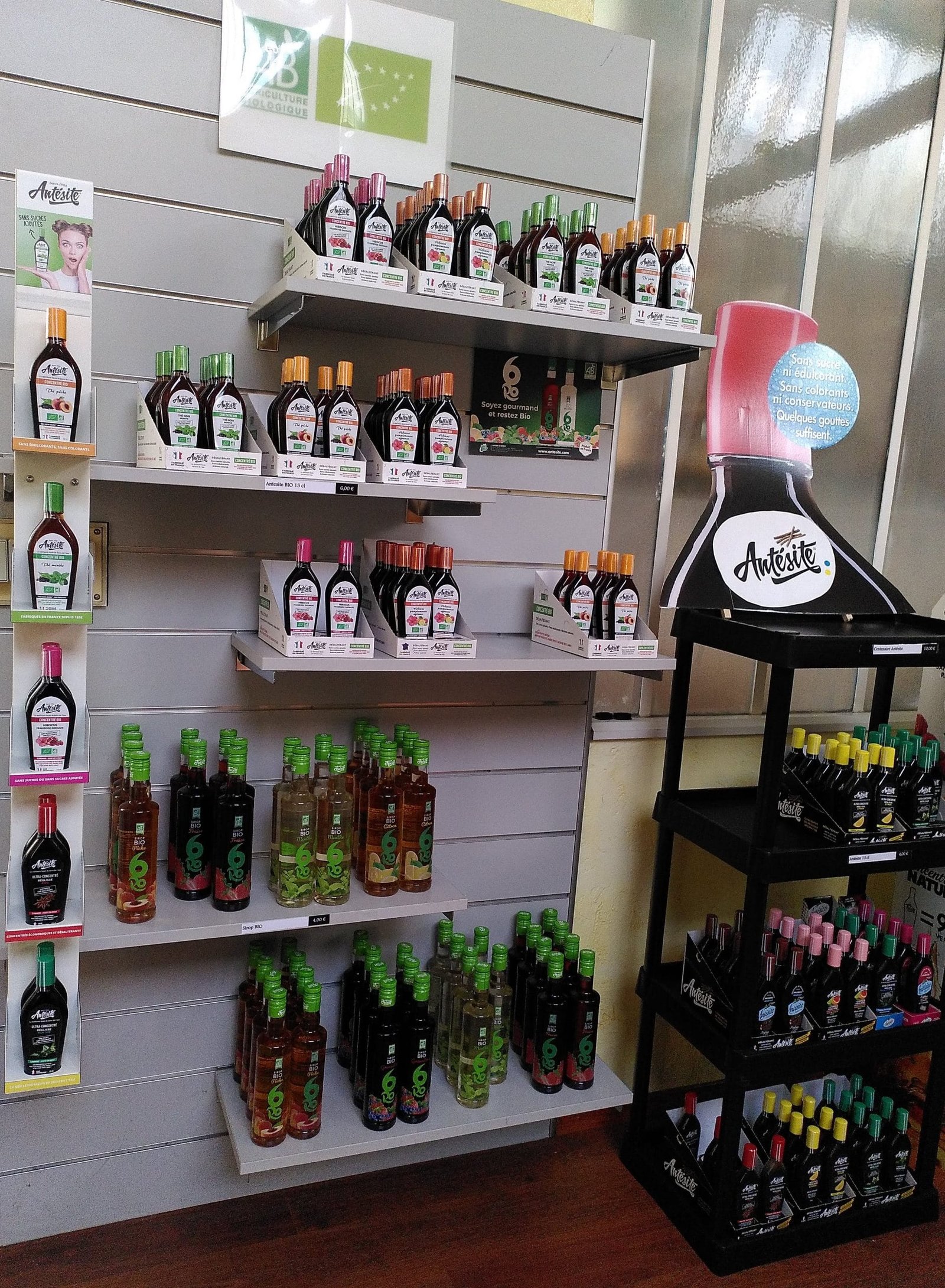 Antesite Noirot Voiron