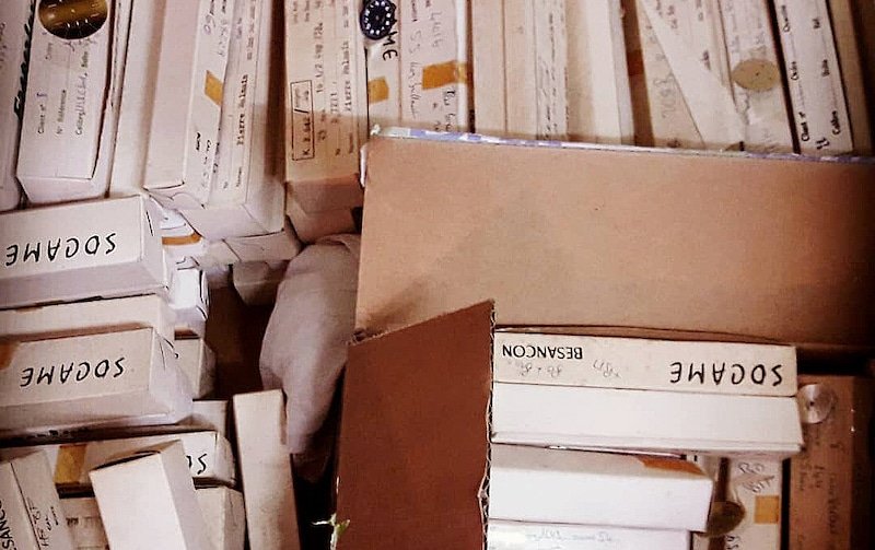 futures boucles d'oreille cadran de montre